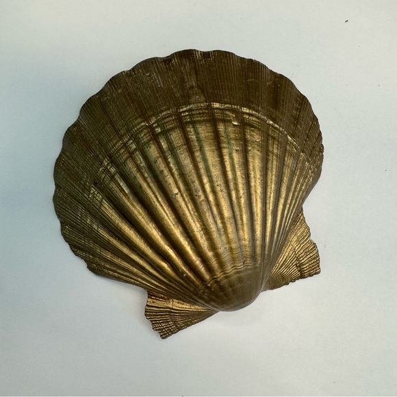 Sea Shell Jewelry Dish Trinket Catch all Ring Tray Home office ocean decor beach - Picture 4 of 5